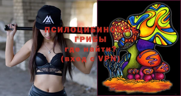 a pvp Арсеньев
