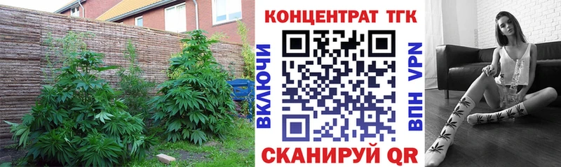 OMG ССЫЛКА  Пестово  ТГК жижа 