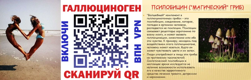 Галлюциногенные грибы GOLDEN TEACHER  ссылка на мегу tor  Пестово  где купить  